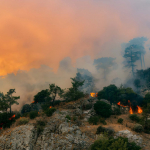Incendi in Croazia e Grecia: evacuazioni, vittime e rischio estremo